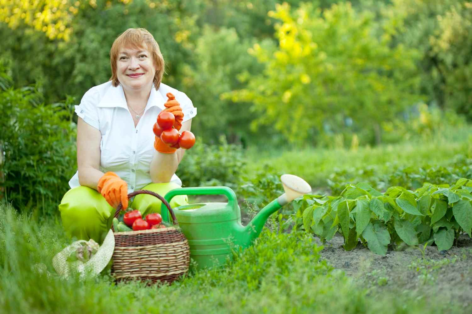 The High-Value Garden: The Easiest Veggies for New Gardeners to Grow!